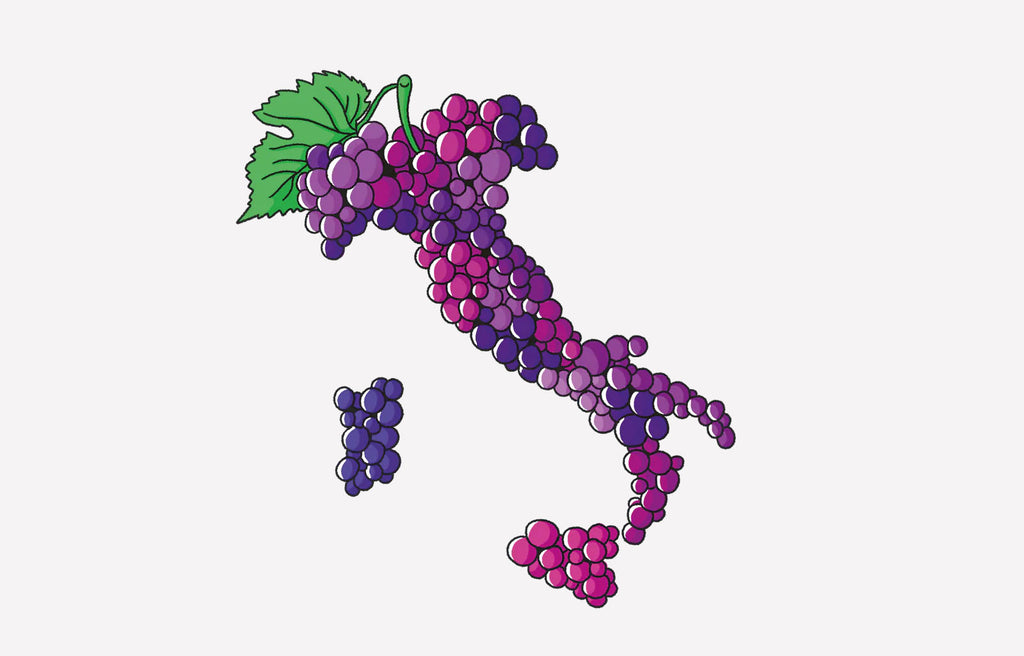Jumbo Shrimp Guide to Italian Wine - Foreword