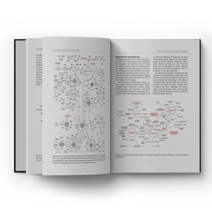 Italian Wine Unplugged 2.0