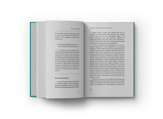 Sangiovese e Lambrusco and other wine stories