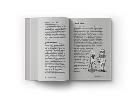 Jumbo Shrimp Guide to Italian Wine